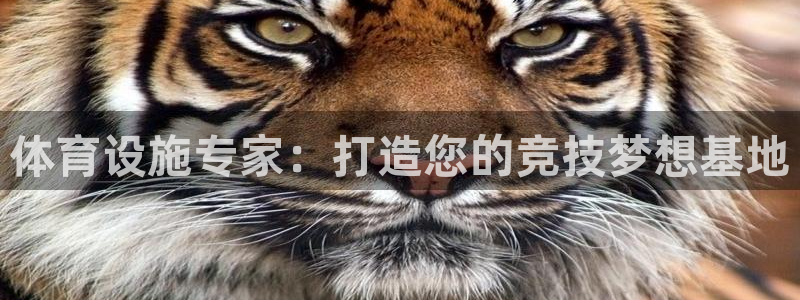 意昂4集团简介：体育设施专家：打造您的竞技梦想基地