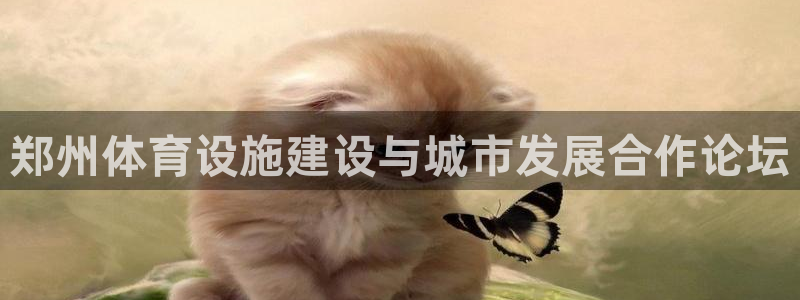 意昂体育4招商电话地址是多少：郑州体育设施建设与城市