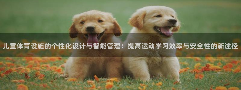 意昂4娱乐：儿童体育设施的个性化设计与智能管理：提高