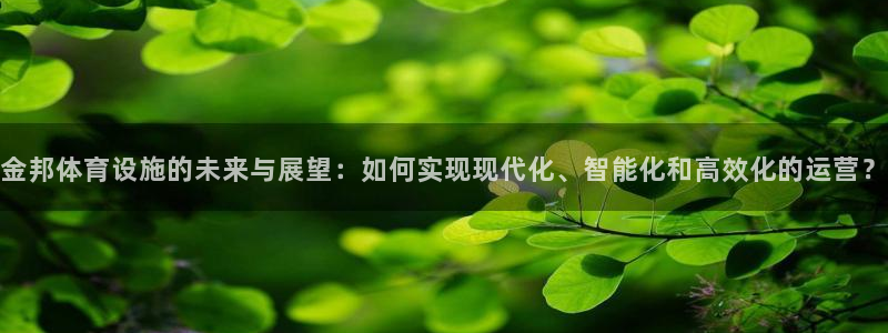 意昂体育4联系电话：金邦体育设施的未来与展望：如何实