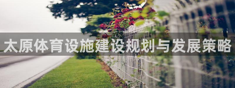 意昂体育4是干嘛的公司：太原体育设施建设规划与发展策