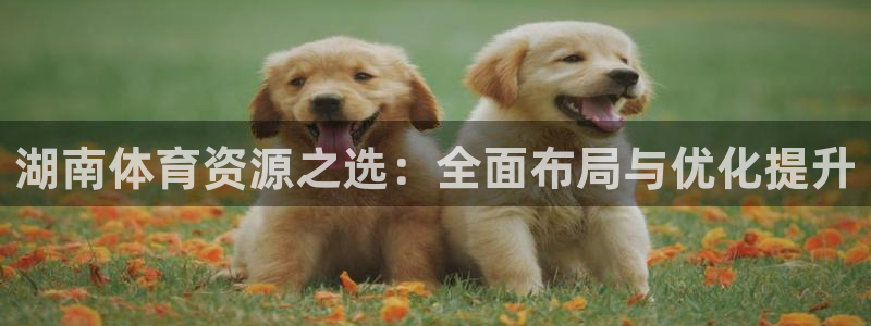 意昂体育4招商电话：湖南体育资源之选：全面布局与优化提升