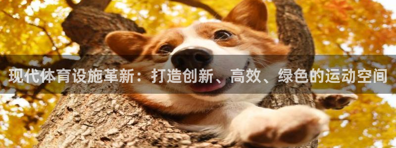 意昂体育4招商电话号码是多少啊：现代体育设施革新：打