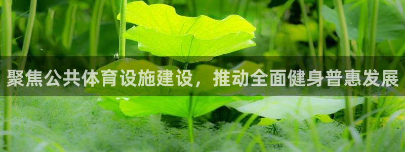意昂体育4：聚焦公共体育设施建设，推动全面健身普惠发