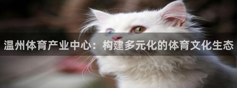 意昂体育4平台注册：温州体育产业中心：构建多元化的体育文化生 